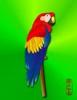 Paisley Parrot