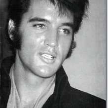 elvis