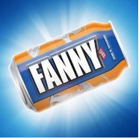 fanny.jpg.c27768feb5ec9c92b3184203810c09a5.jpg