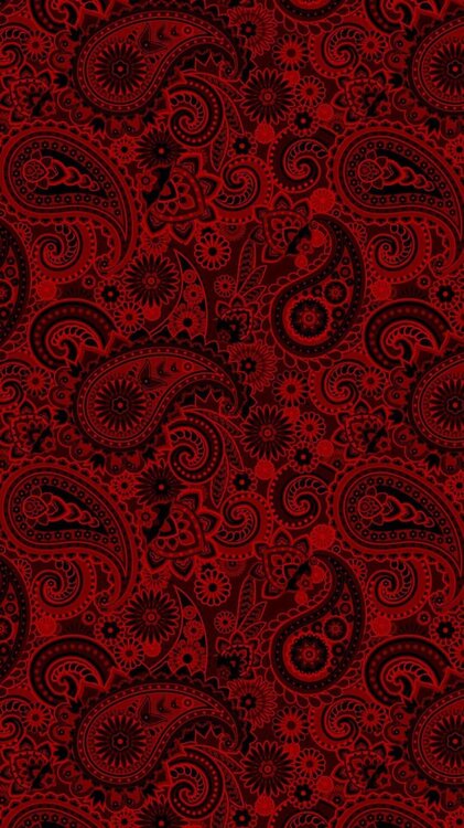 20230805_124652.thumb.jpg.a469aa747107cd23d2f4679b9fe5fae8.jpg