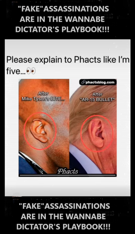 image.thumb.png.1654d4e0c3ef4dc335c8f64d47820293.png